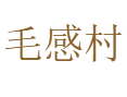 保亭县毛感乡毛感村是个怎样的地方？有多少户人家？靠哪些种植、养殖和加工产业过日子？丨海南