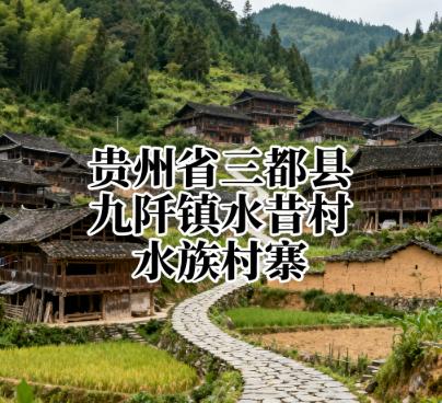 贵州省黔南州三都县九阡镇水昔村、水族聚居地.jpg