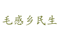 海南省保亭县毛感乡民生.png