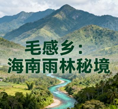 海南省保亭县毛感乡环热带雨林国家公园旅游实景图.jpg