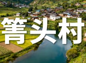 箐头村（云南迪庆维西维登乡）： 省卫生村，及农业、电商、民俗信息