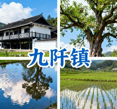 贵州省黔南州三都县九阡镇民生图片 贵州省黔南州三都县九阡镇民生图片