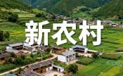 云南省卫生村：维西傈僳族自治县维登乡新农村历史·产业·文旅全景介绍丨民生文旅综合指南