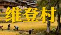 维登村（云南迪庆维西傈僳族自治县）：维登乡卫生村·精品村与特色农产胜地丨草莓种植丨维西百花蜜丨维西核桃