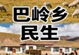 巴岭乡民生(西藏那曲双湖县下辖乡・历史与生态概况)丨羌塘高原丨藏羚羊