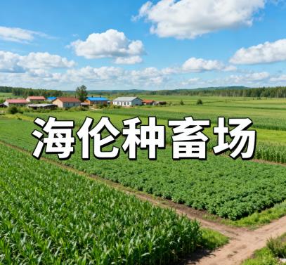 黑龙江绥化市海伦市海伦种畜场图片.jpg 黑龙江绥化市海伦市海伦种畜场图片.jpg