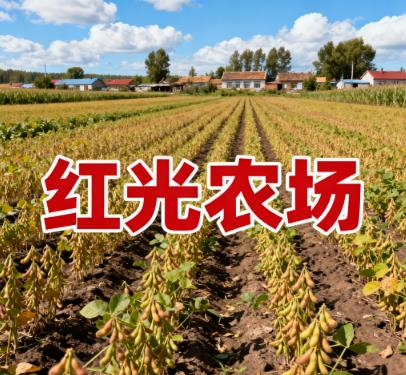 黑龙江绥化市海伦市海伦红光农场图片.jpg 黑龙江绥化市海伦市海伦红光农场图片.jpg