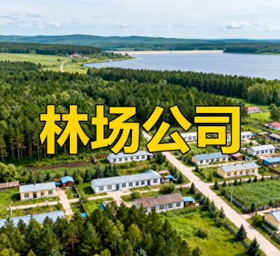 黑龙江绥化市海伦市林场公司图片.jpg 黑龙江绥化市海伦市林场公司图片.jpg