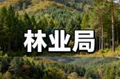 安图县(吉林省延边州)林业局下辖区域详解:石门林场及8个林业单位介绍丨林下经济、苗木培育与国有林场采伐