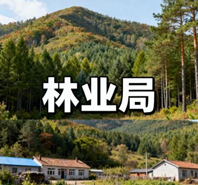 吉林省延边州安图县林业局图片.jpg