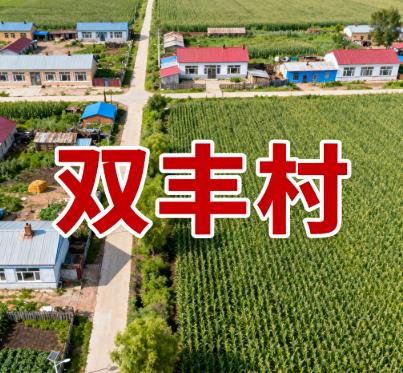 黑龙江绥化市海伦市双录乡双丰村图片.jpg