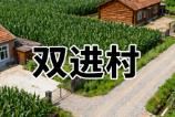 双进村(黑龙江省绥化市海伦市双录乡辖村):国家森林乡村核心信息大全丨行政 + 生态 + 产业信息