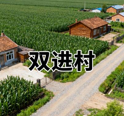 黑龙江绥化市海伦市双录乡双进村图片.jpg