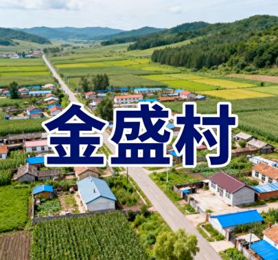 吉林省延边州安图县永庆乡金盛村图片.jpg