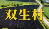 双生村(黑龙江绥化海伦双录乡):农业、民生、文旅及交通全攻略丨腐竹扶贫带动增收与乡村民生建设