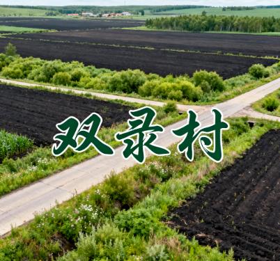 黑龙江绥化市海伦市双录乡双录村图片.jpg