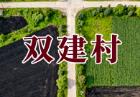 双建村(黑龙江绥化海伦双录乡):土地托管与民生设施建设全览丨产业、民生及文旅综合指南丨文旅联动与海伦剪纸民俗介绍